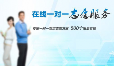 1對1志愿咨詢